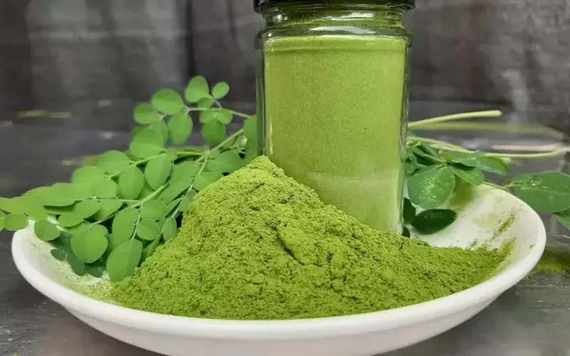 Cách chế biến bột chùm ngây tại nhà đơn giản, an toàn và mang lại lợi ích cho sức khỏe của bạn.