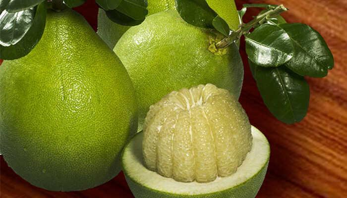 Những giống bưởi nổi tiếng tại Việt Nam không chỉ hấp dẫn bởi hương vị tuyệt vời mà còn gắn liền với lịch sử, trong đó có những loại bưởi từng được dùng để dâng lên các vua chúa.