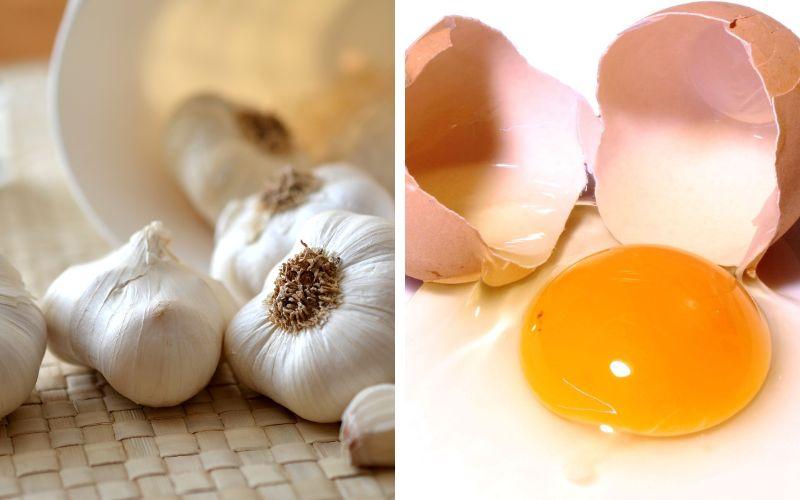 Khám phá 10 phương pháp tự nhiên giúp tẩy giun hiệu quả mà không cần sử dụng thuốc Tây