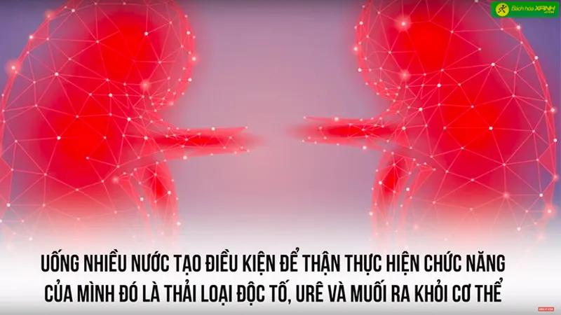 Nếu không duy trì đủ lượng nước mỗi ngày, cơ thể bạn sẽ đối mặt với những hậu quả đáng lo ngại. Bạn đã biết cách uống nước đúng để bảo vệ sức khỏe?