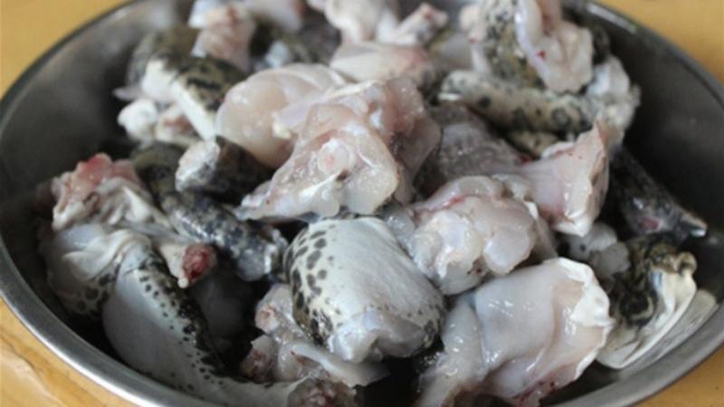 Bí quyết chọn ếch tươi ngon, không bị tanh – một hướng dẫn đơn giản và hiệu quả để bạn luôn lựa chọn được nguyên liệu chất lượng.