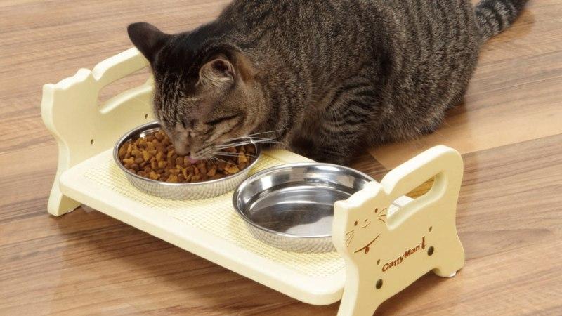 Khám phá 7 loại hạt Royal Canin cho mèo chất lượng vượt trội và giá cả hợp lý hiện nay.