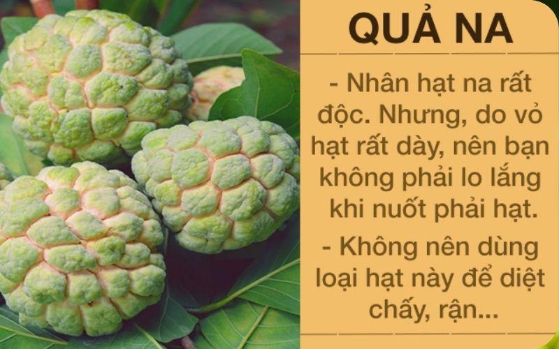 Các loại trái cây có hạt độc tố bạn nên tránh xa