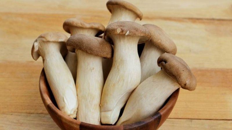 Khám phá 4 cách chế biến nấm đùi gà thơm ngon, hấp dẫn ngay tại nhà, khiến bạn không thể rời mắt khỏi món ăn.