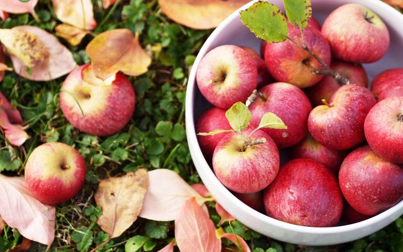 Mùa hè đến, da cần được nuôi dưỡng đặc biệt với những loại trái cây không chỉ giúp giải nhiệt mà còn giữ cho làn da luôn mềm mịn, căng tràn sức sống. Hãy cùng khám phá 4 loại quả lý tưởng cho mùa hè này.