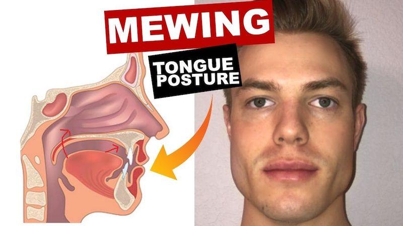 9 khu vực trên gương mặt mà phương pháp Mewing có thể cải thiện.