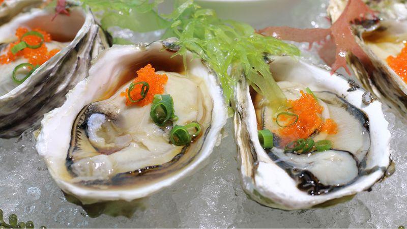 Cách chế biến hàu sashimi sốt Nhật tươi ngon và đầy dưỡng chất