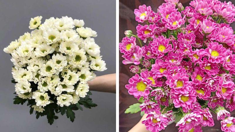 Khám phá ý nghĩa và cách cắm hoa cúc Rossi sao cho đúng chuẩn trên bàn thờ