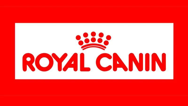 Royal Canin cung cấp các loại thức ăn cho mèo đa dạng, đáp ứng nhu cầu dinh dưỡng đặc biệt cho từng giống mèo, độ tuổi và tình trạng sức khỏe khác nhau. Hãy cùng khám phá các dòng sản phẩm này để chăm sóc mèo yêu của bạn hiệu quả hơn.