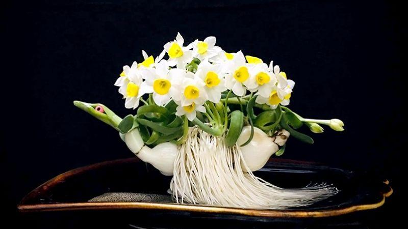 Hoa thủy tiên không chỉ là một loài hoa đẹp, mà còn là biểu tượng của sự may mắn và tài lộc. Sự tinh tế trong vẻ ngoài của chúng cùng với ý nghĩa sâu sắc đã khiến hoa thủy tiên trở thành lựa chọn yêu thích của nhiều người.