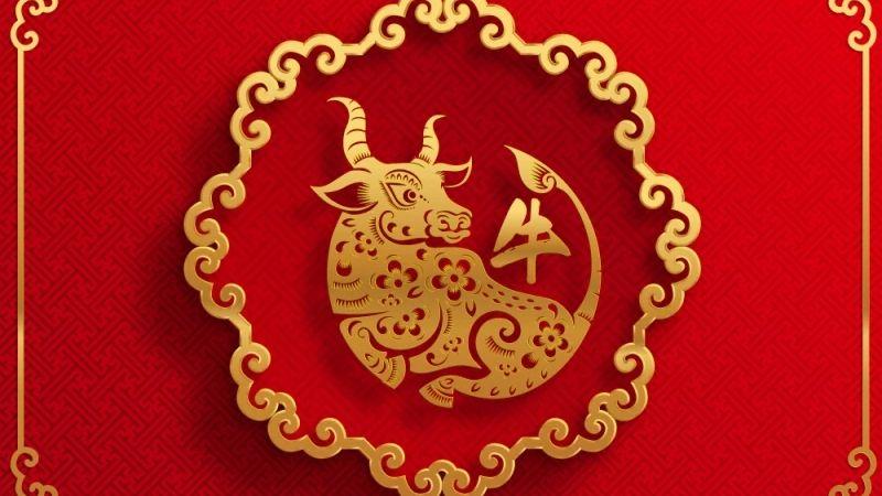 Tuổi Ất Sửu sinh năm 1985 mang mệnh gì? Họ phù hợp với những tuổi nào và cần tránh những tuổi nào để đảm bảo sự hài hòa trong cuộc sống?