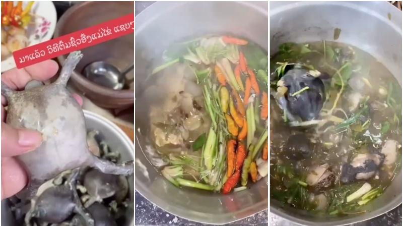 Ếch òn - một món ăn khiến nhiều người bất ngờ, tuy có vẻ ngoài kỳ lạ nhưng lại trở thành đặc sản nổi tiếng tại Thái Lan và Việt Nam.