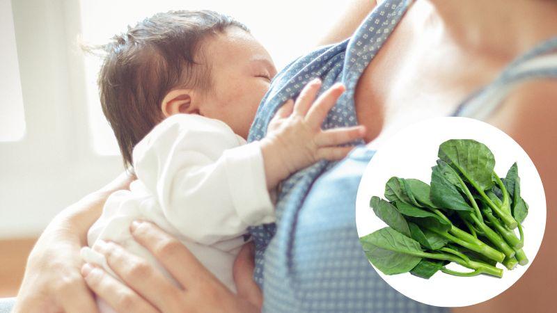 Những điều cần lưu ý khi phụ nữ sau sinh ăn rau mồng tơi, một thực phẩm dễ tìm nhưng đầy giá trị dinh dưỡng cho sức khỏe sau sinh.