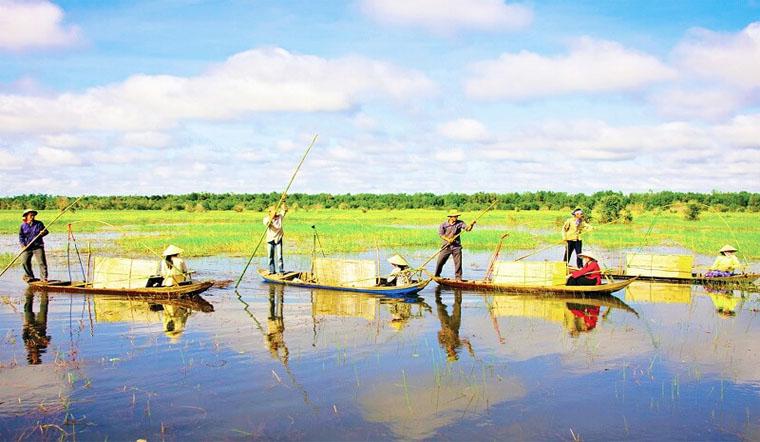 Tại sao người miền Nam lại ưa thích vị ngọt?