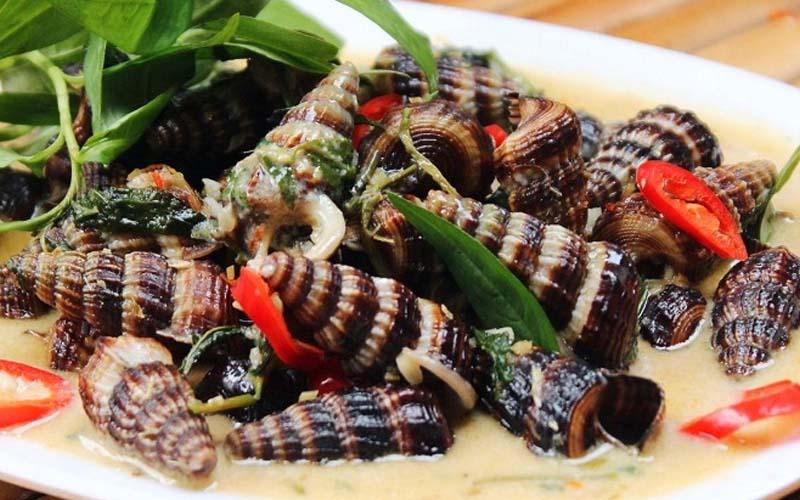 Khám phá 2 công thức chế biến ốc len xào dừa và xào sả ớt, những món ăn thơm ngon, béo ngậy dễ làm ngay tại nhà.