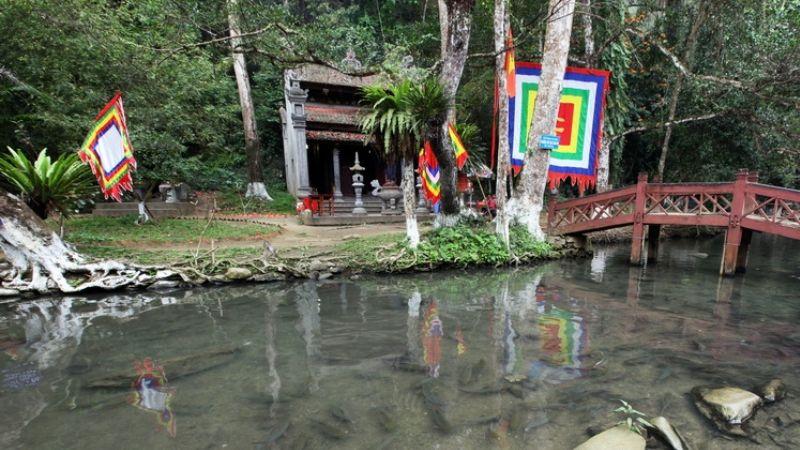 Mang lại nguồn dinh dưỡng phong phú cho gia đình với rong biển Tohogenkai