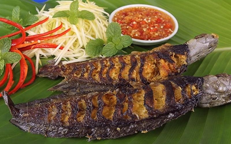 Khám phá cách chế biến cá trê nướng muối ớt, mang đến một hương vị vừa đậm đà vừa hấp dẫn khó quên.