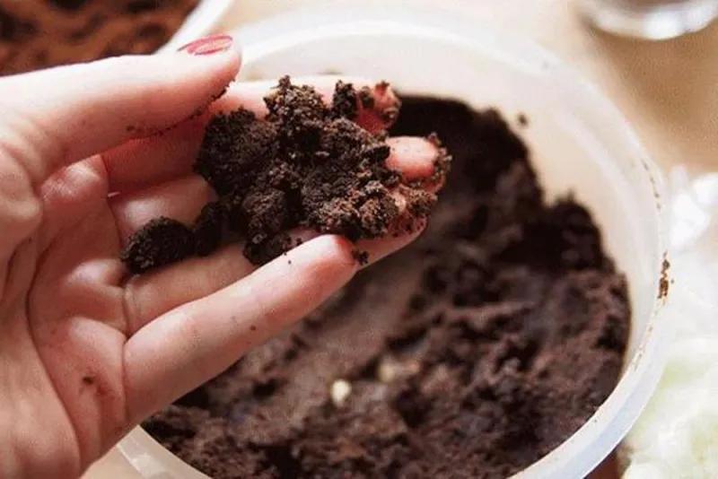 Trồng nấm kim châm ngay tại nhà bằng bã cà phê, chỉ sau 2 tuần là bạn đã có thể thưởng thức thành quả ngọt ngào của mình!