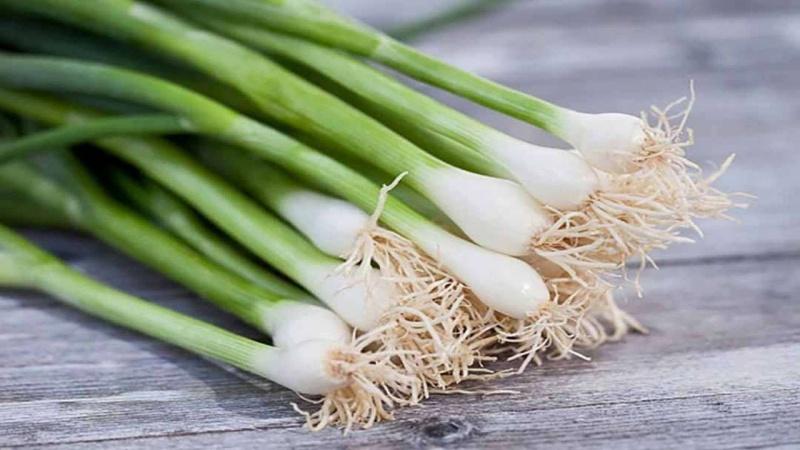 Giữa hành lá, hành tây, hành tím và tỏi, loại nào thực sự mang lại nhiều giá trị dinh dưỡng cho sức khỏe? Hãy cùng tìm hiểu để lựa chọn nguyên liệu tốt nhất cho các bữa ăn của bạn.