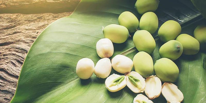 Cách sử dụng hạt sen để chữa mất ngủ hiệu quả