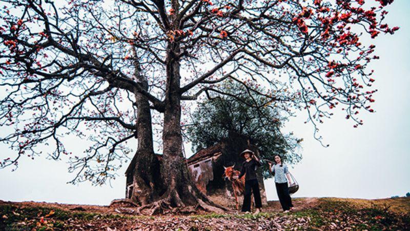 Khám phá Yên Mỹ (Hưng Yên): Hai điểm đến nổi bật không thể bỏ qua