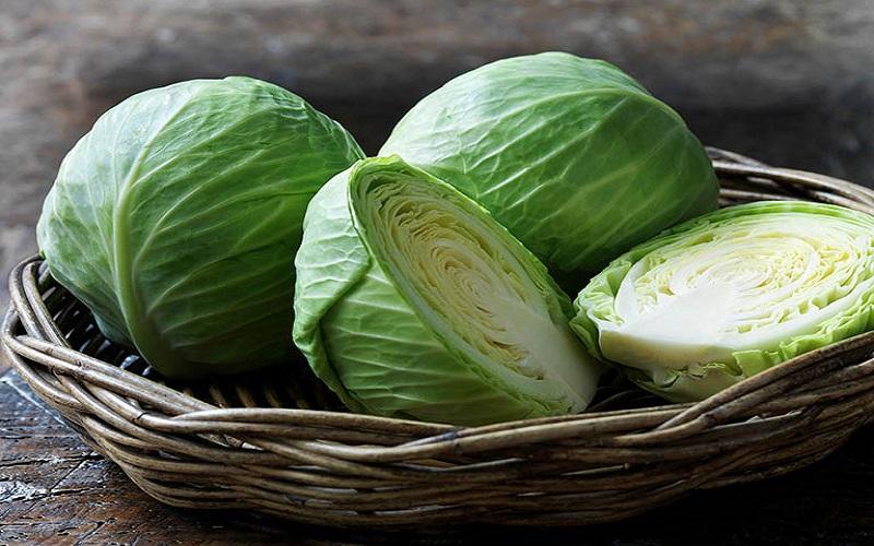 Tháng 9 là thời điểm tuyệt vời để trồng những loại rau vừa dễ chăm sóc lại cho thu hoạch dồi dào, khiến bạn không ngừng hái mà không bao giờ hết rau. Cùng khám phá những loại rau thích hợp cho tháng này nhé!