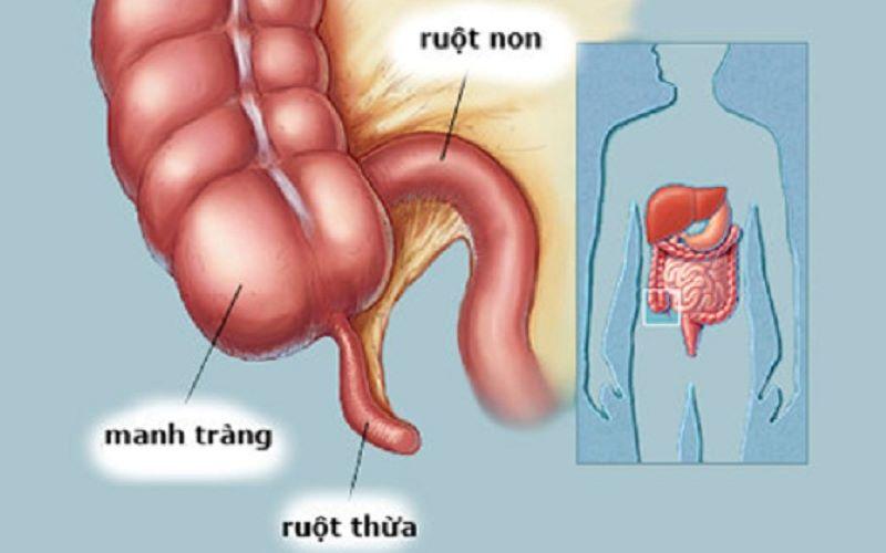 9 bộ phận cơ thể mà ta thường nghĩ là vô dụng, nhưng thực tế lại có những chức năng bất ngờ và thú vị.