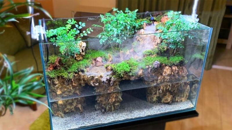 Terrarium là gì? Cùng khám phá những loại terrarium đẹp mắt và độc đáo mà bạn chưa từng thấy