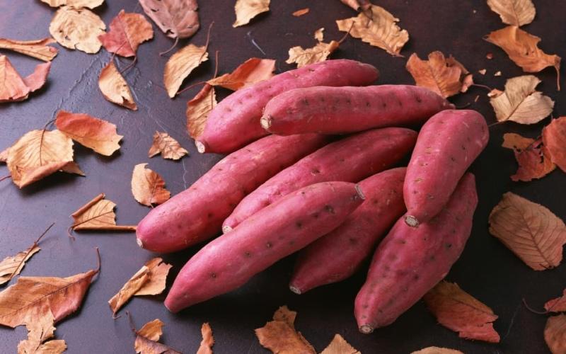 Khoai lang có thực sự tốt cho mẹ bầu? Những lợi ích bất ngờ khi bà bầu thêm khoai lang vào thực đơn hàng ngày