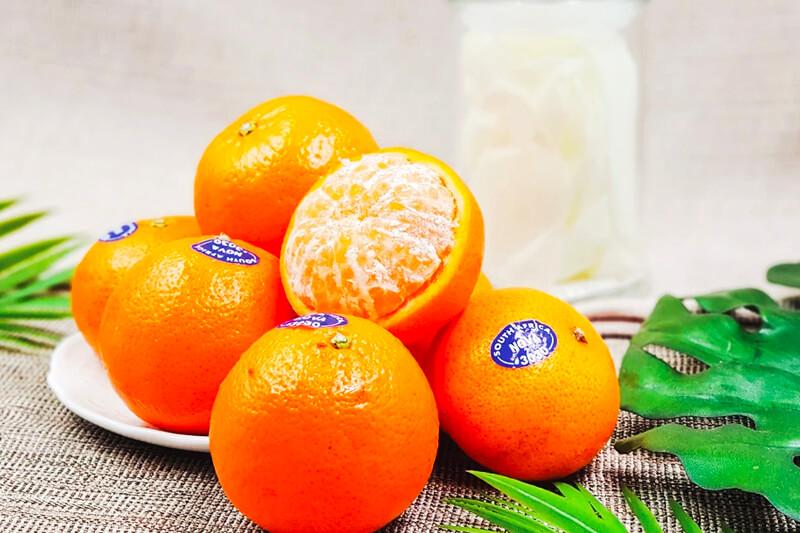 Giấy chứng nhận nhập khẩu của Quýt Ai Cập đang có mặt tại Tripi, đảm bảo tính hợp pháp và chất lượng cao.