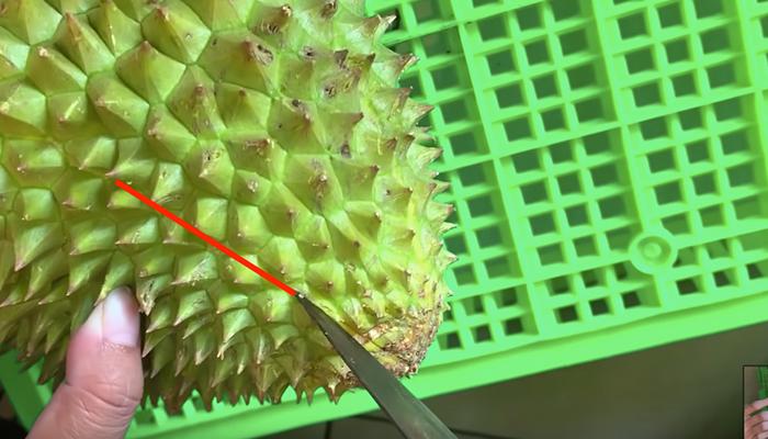 3 phương pháp bổ sầu riêng nhanh gọn, hiệu quả, cho cả quả chưa nứt và đã nứt.