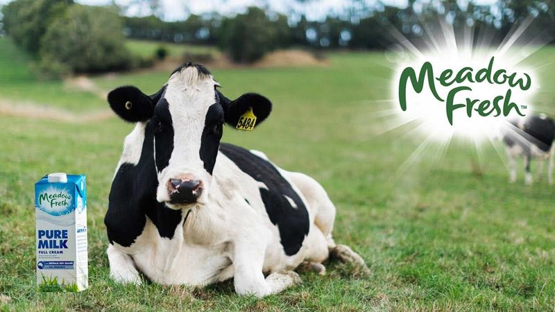 Meadow Fresh - thương hiệu sữa nổi bật của Úc với hương vị đặc trưng khó quên
