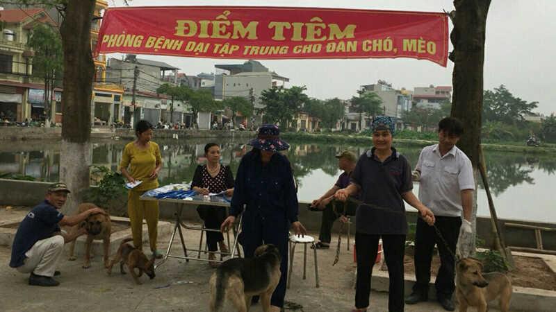 Tiêm phòng dại cho chó mèo có tác dụng trong bao lâu? Những lưu ý quan trọng cần lưu tâm?