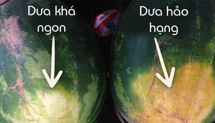 Khám phá bí quyết chọn trái cây tươi ngon và an toàn mà bạn cần nắm rõ
