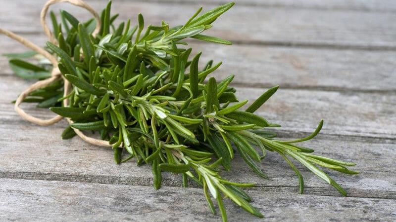 Tìm mua lá hương thảo tươi và khô tại TP.HCM ở đâu? Khám phá ngay những địa chỉ uy tín để sở hữu thảo dược này.