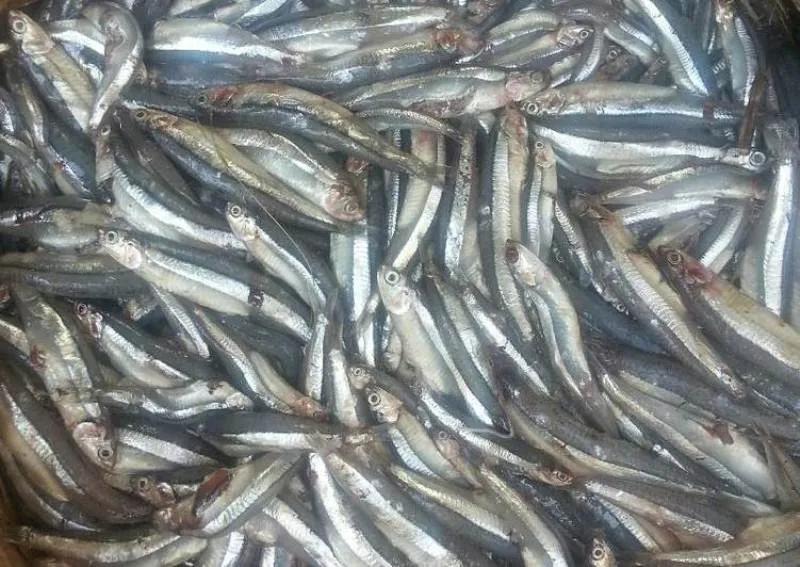 Liệu nước mắm càng chứa nhiều độ đạm thì càng ngon?