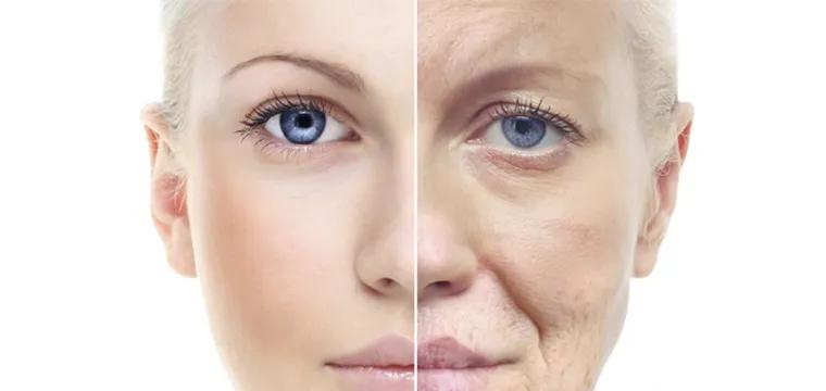 Khám phá những lợi ích tuyệt vời của rau câu