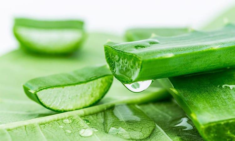 Chia sẻ bí quyết giảm mụn nhanh để có làn da rạng ngời đón Tết