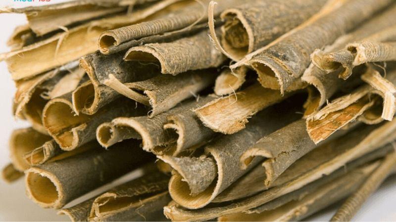 Chiết xuất từ vỏ cây liễu là gì? Và nó có thể mang lại những tác dụng gì cho làn da của bạn?