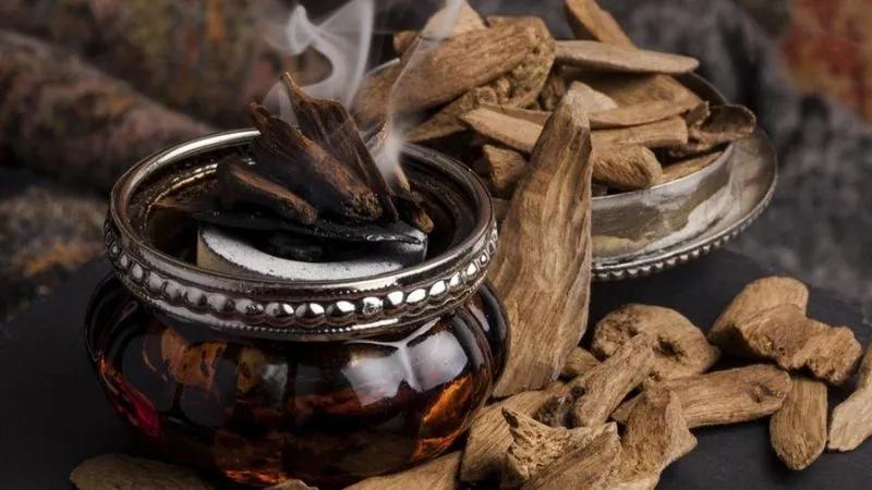Trầm hương: Tìm hiểu về đặc điểm, công dụng và giá trị tinh thần trong cuộc sống