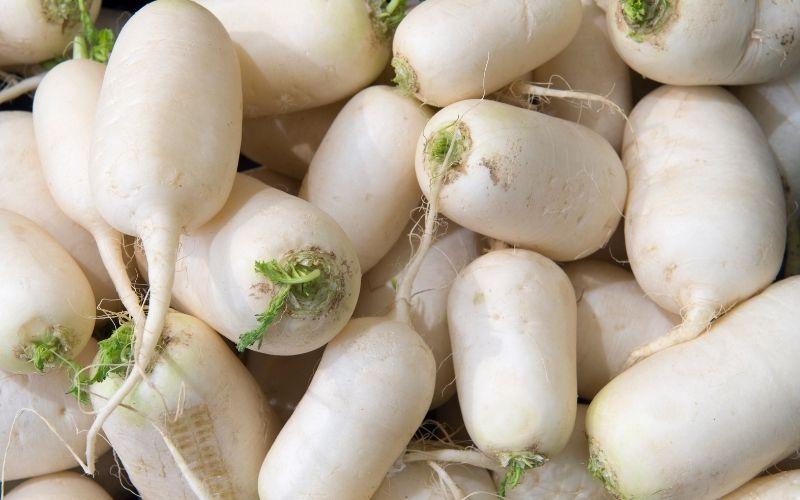 Mỗi 100g củ cải trắng chứa bao nhiêu calo? Ăn củ cải trắng có thể làm bạn tăng cân không?