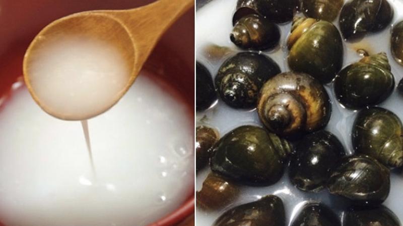 Khám phá món ốc lác xào lăn lá cách, một sự kết hợp mới lạ nhưng lại vô cùng hấp dẫn