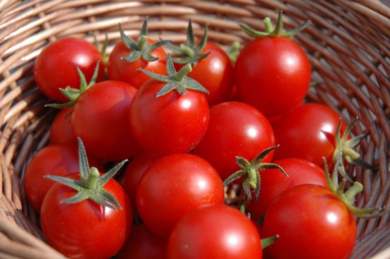 Khám phá cách làm đẹp da từ các loại rau củ