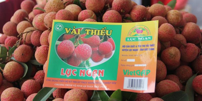 Vải thiều Việt Nam luôn là niềm tự hào với hương vị đặc trưng, ngọt ngào và tươi mới, mang đậm dấu ấn của đất trời Việt. Những trái vải thơm ngon ấy không chỉ là đặc sản mà còn là món quà quý giá của thiên nhiên.