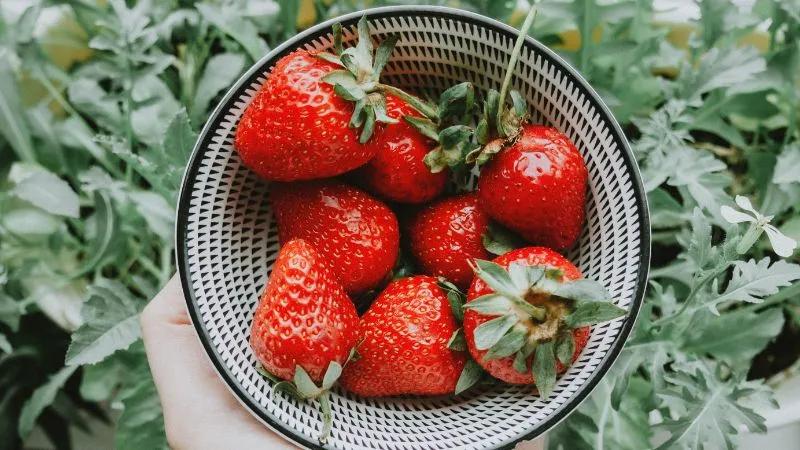 Dâu tây có nhiều công dụng tuyệt vời đối với phụ nữ sau sinh. Hãy cùng khám phá những lợi ích mà loại trái cây này mang lại và những điều cần lưu ý khi bổ sung dâu tây vào chế độ ăn uống của mẹ sau sinh.