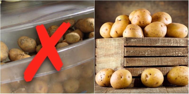 Vì sao không nên bảo quản khoai tây trong tủ lạnh?