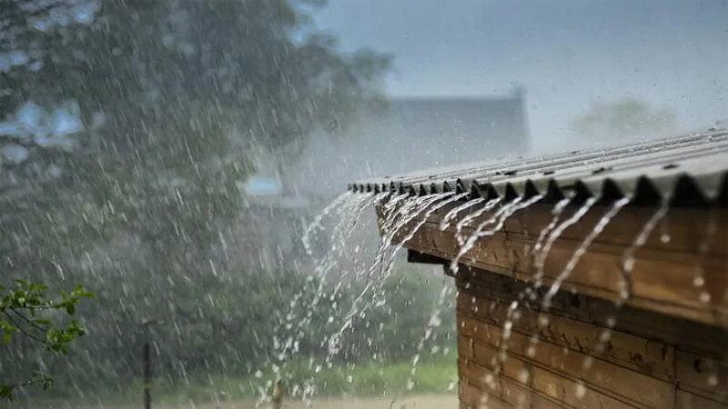 Khám phá cách sử dụng nước mưa hiệu quả và an toàn cho gia đình bạn