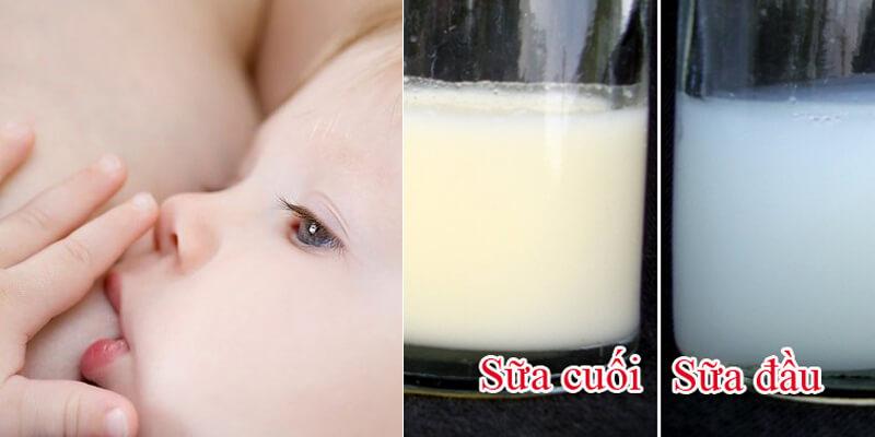 Bé muốn tăng cân, vậy nên cho bé uống loại sữa nào hiệu quả nhất?