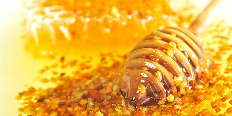 Phấn hoa là gì và những lợi ích tuyệt vời mà nó mang lại?