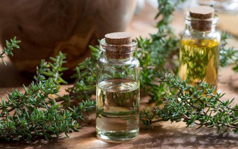 Tinh dầu xạ hương là gì và nó có những lợi ích gì đối với sức khỏe của bạn?